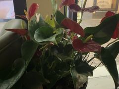 -涟LIAN·泰式按摩·MASSAGE·SPA(深业上城店)