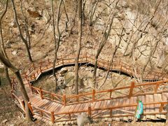 -大岭沟猕猴桃谷风景区