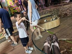 -正佳雨林生态植物园