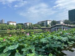 -西海子公园