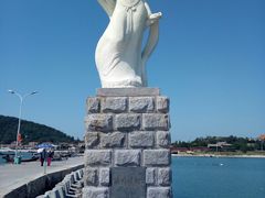 -长岛万鸟岛