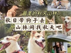 -夏霖九天银瀑风景区
