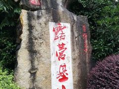 -铁山坪森林公园