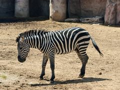 -鄂尔多斯野生动物园