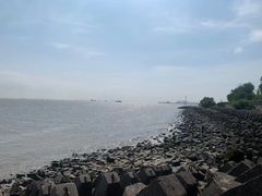 -上海滨江森林公园