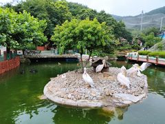 -大连老虎滩海洋公园