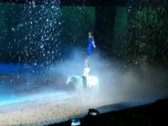 -cavalia·舞马