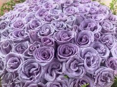 -昆明国际花卉拍卖交易中心