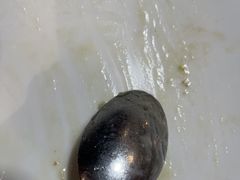 -新白鹿餐厅(百联中环店)