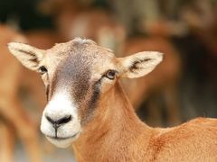 -广州长隆野生动物世界