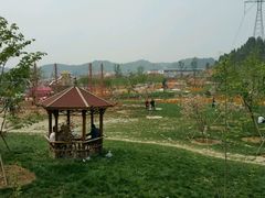 -绵阳盛世樱花悠乐谷