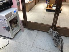 -FAELING PETS美天灵宠物(富力广场店)