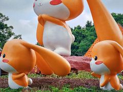 -深圳野生动物园