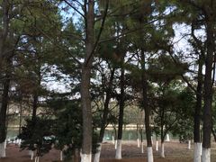 -白塘生态植物园