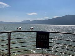-滇池海埂公园