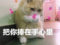 -大拇指龙虾(娄葑文体中心店)
