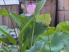 -田园印象·成都土菜院子(华阳店)