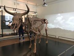 -丹麦国家博物馆