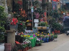 -金陵花卉交易市场