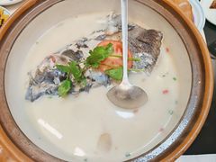 -全乐鱼馆·淳牌有机鱼直营店