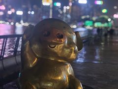 -星光大道