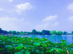 景观位-小王府(什刹海店)