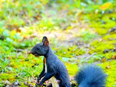 -国家植物园南园