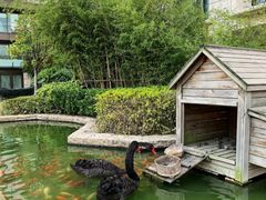 -行者书屋大堂吧 ·下午茶(南京圣和府邸酒店)