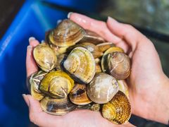 -得记得潮州海鲜砂锅粥(宝业路店)