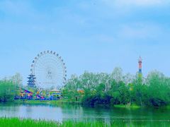 -洋湖国家湿地公园