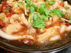 藤椒鲢鱼片-陶德砂锅居(育才路店)