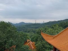 -深圳仙湖植物园
