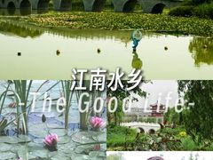 -红莲湖