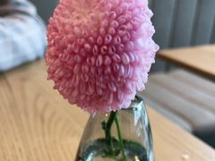 -gaga(深圳南山益田假日广场店)