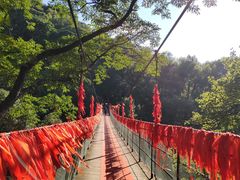 -桂林古东瀑布景区