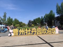 -曹州牡丹园