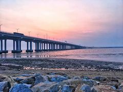 -宝安西湾红树林湿地公园