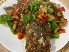 -煲来饱去冷水鱼