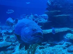 -珠海长隆海洋王国