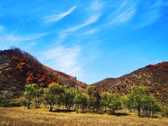 -塞罕坝国家级自然保护区