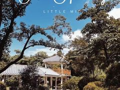 -火炉山森林公园