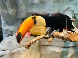 -Zoolung Zoolung动物主题公园(海信广场店)