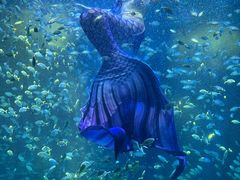 -海合安青岛极地海洋公园
