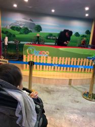 -酷嗒动物文化乐园(cutezoo西溪乐天城店)