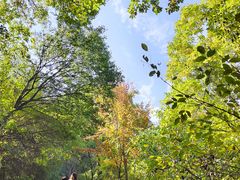 -终南山南五台景区