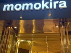 -momokira米努特·德文卷毛猫·棉花面纱犬