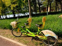 -长白岛森林公园