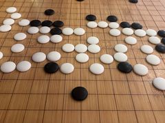 -有猫主题·治愈系猫咖(曾厝垵店)