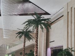 -常州环球恐龙城维景国际大酒店