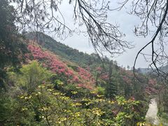 -木兰云雾山